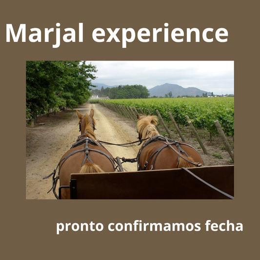 Marjal Gourmet Ride